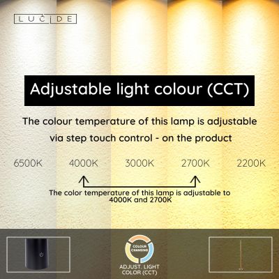 Lucide GRIFFITH - Stojacia lampa - Ø 21 cm - LED Rozm. - 1x18W 2700K/4000K - Bronz